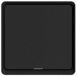 DIO-1G-SW-BEE  Dion 1 Gang White switch with one relay (without of N neutral connection)